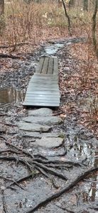 rock & boardwalk through standing wet area