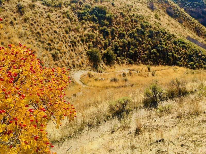 Some nasty steep switchbacks on the later parts of 5 mile