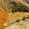 Some nasty steep switchbacks on the later parts of 5 mile