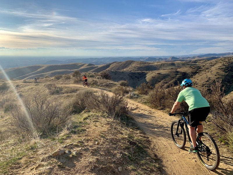 At the junction of freestone and fat tire.