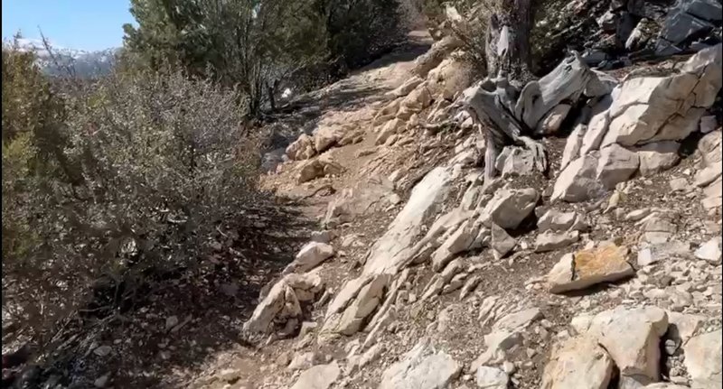 One of many rock Gardens