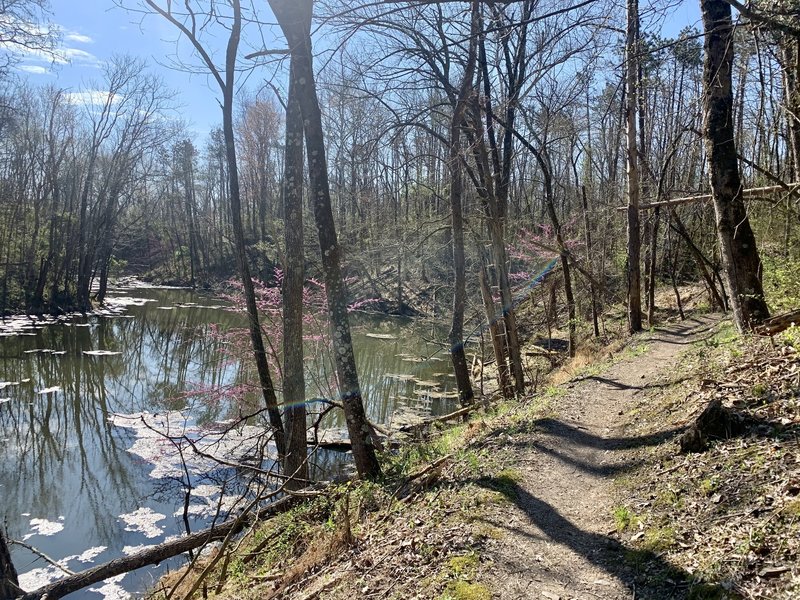 Goat Trail on a beautiful day