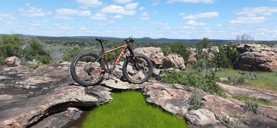 Along the Reveille Peak Loop