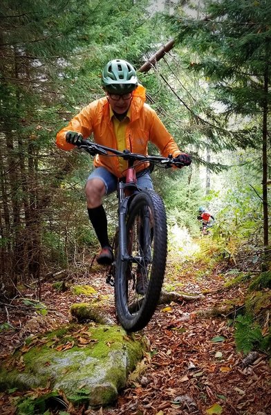 Rolling along on Fork Mtn trail