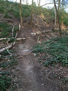 Drop on trail preparing for jump