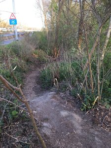 Entrance to trail