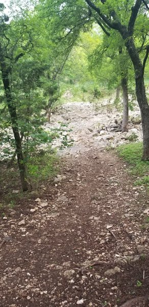 Trail headed down and over Williamson Creek (currently dry)