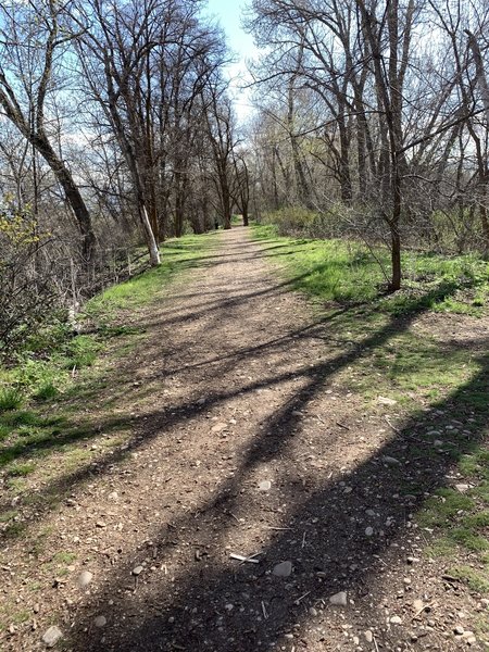 Star River Walk