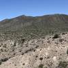 Late Spring landscape. There are pretty red cactus flowers, too!