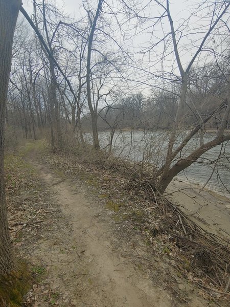 Scenic leg of trail running along side Lizard Creek