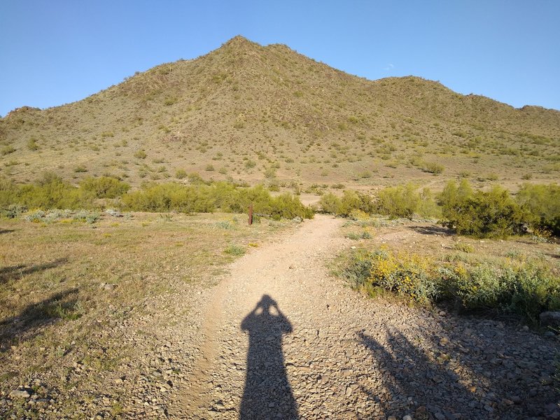 Looking east out of the parking lot toward North Mountain. Head straight down the trail until the T intersection.