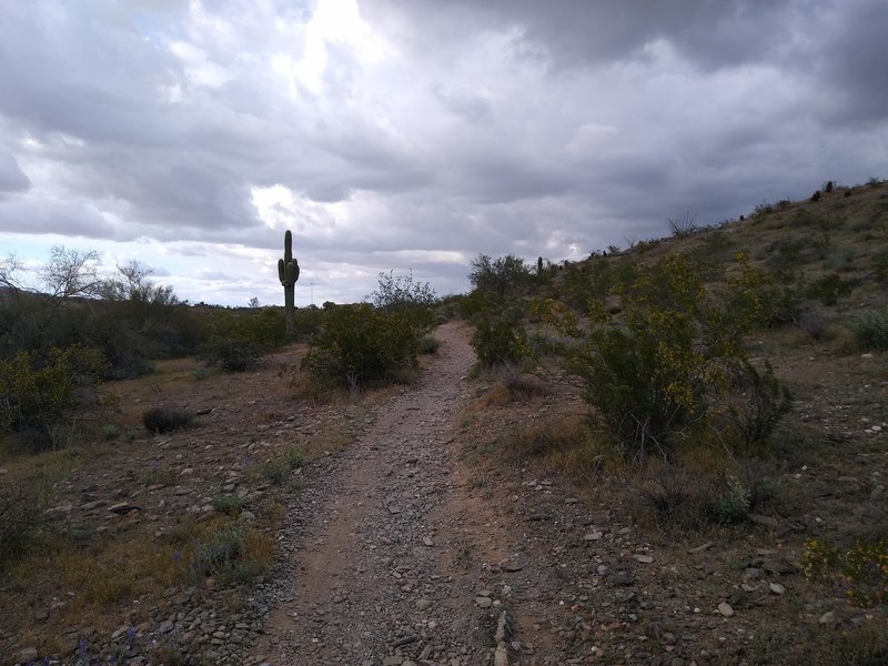 Looking up the first uphill