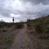 Looking up the first uphill