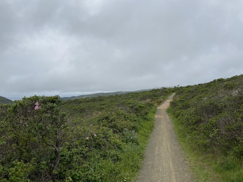 The Old Springs Trail extends along the hill towards Tennessee Valley