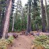 Flagline Trail at Tumalo Mountain