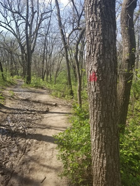 North eastern side of the trail