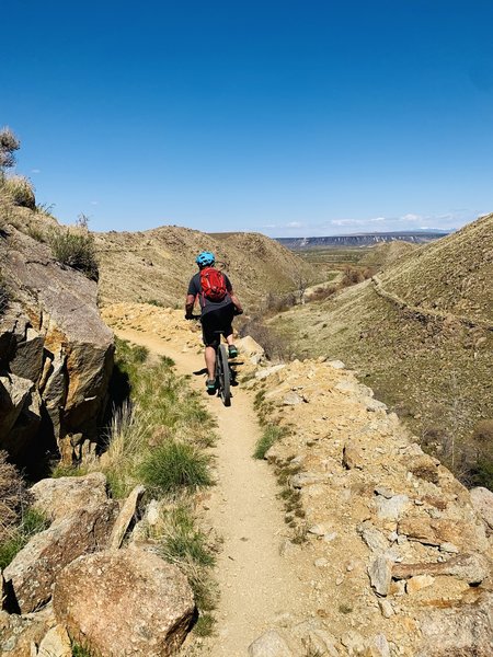 Nice smooth trail on a precarious ledge that runs by Reynolds canyon