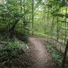 This is a stand alone crib walled switchback through a tunnel of Paw Paw