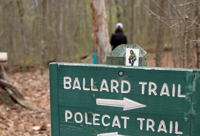 Ballard/Polecat intersection