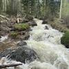 Grouse Creek, right next to the trail