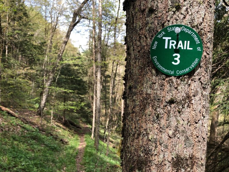 Steep trail at the North end of Stiletto (G3).