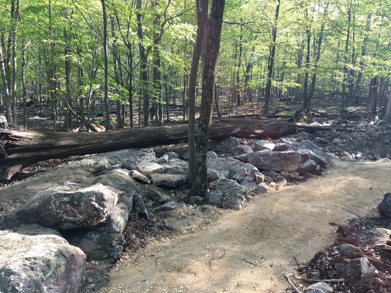 Rock A-Line and trail tread on Rock & Roll near the Start Me Up intersection