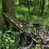 Steep between-a-tree-trunk A-Frame