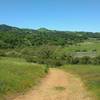 The broad San Felipe Creek Valley (right) and wooded hills to the west of it, are seen from Hotel Trail.