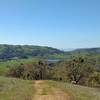 The San Francisco Bay is seen to the northwest in the far distance (center right) from high on Yerba Buena Trail as it travels through the spring green hills of Joseph D. Grant County Park. Grant Lake is straight ahead below the trail.