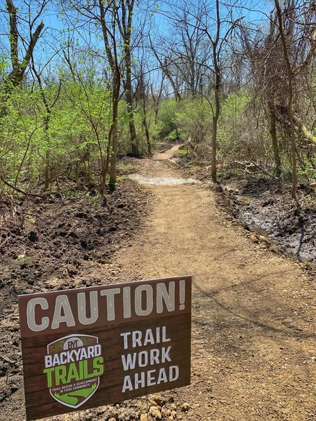 BYT worked with CITA to rehab this trail... a remedy to a continuous drainage issues and to add a little challenge and fun to Ewing Park.