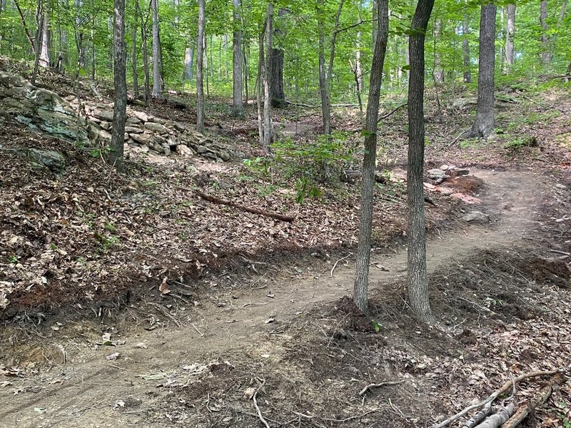 Switch-backing up the hill from the rear parking lot.