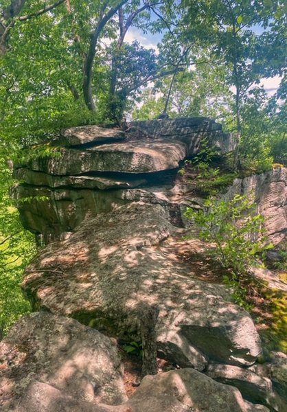 Rock outcropping near Saulter's Loop section of Middle Ridge Trail