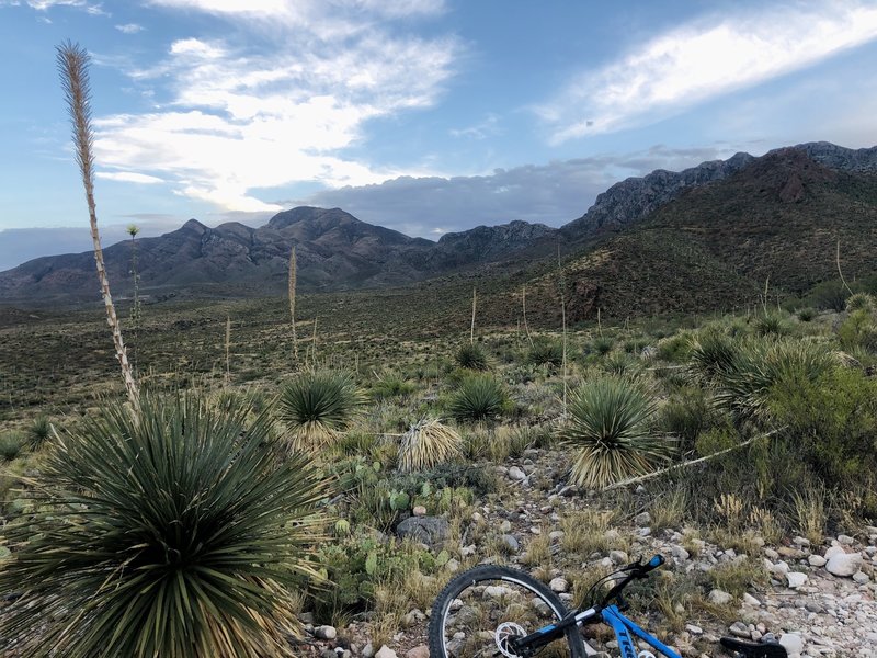 Looking south from the side of Rock Shock Road