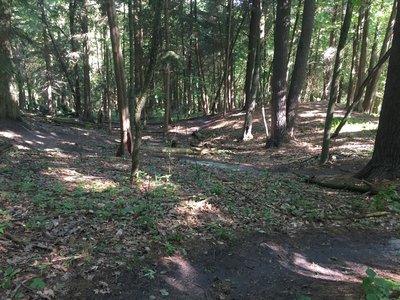 Windy downhill singletrack.