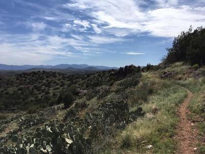 Looking west