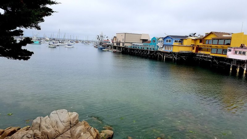 View of the pier from the trail