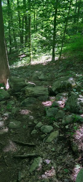 Typical rock feature on flatter section of Red Meriden North