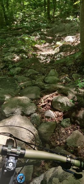 Rock garden on Beach Glen Trail