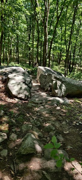 Trail runs through two seemingly cut boulders