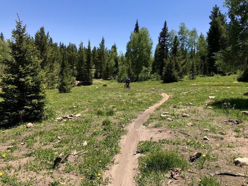 Beginning of South Buck. Lots of loose rocks to come!