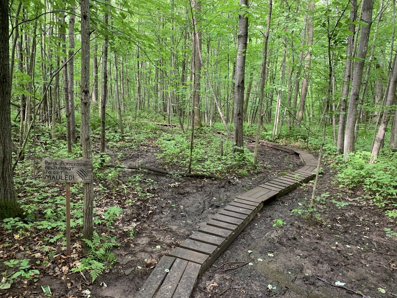 Bridge over the mud.