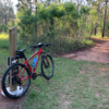 Longleaf Trail--eastern trailhead.