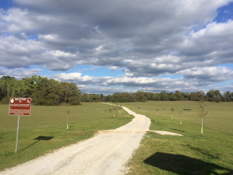 JR Alford Greenway looking from the parking lot up the main entrance.