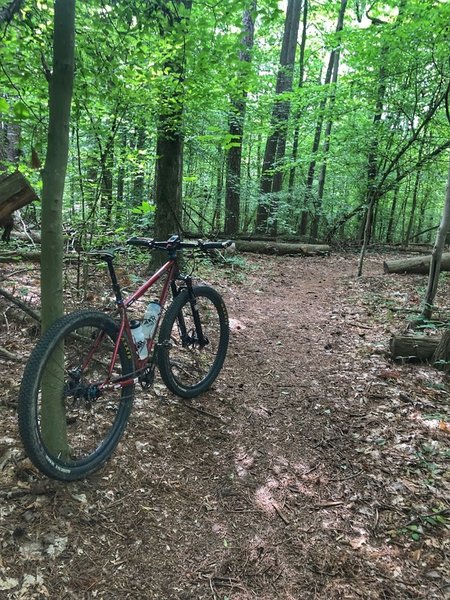 Catching breath after a steep and tough climb.