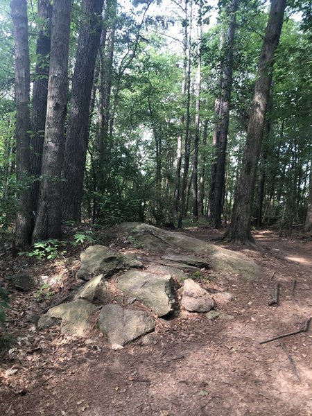 Optional rock garden.