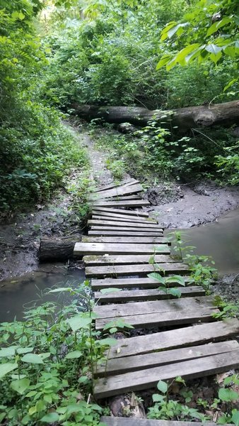 Dicey bridge. Several others washed out. This trail system would be 4 out of 5 stars but has unfortunately fallen into disrepair. ;-(