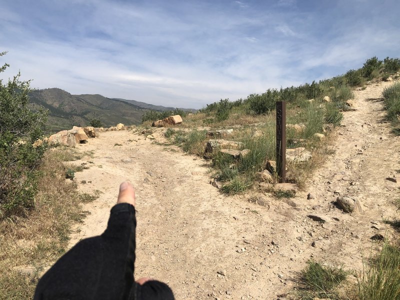 Head left on the re-entry to foothills trail, down hill and next to the lake all the way back.