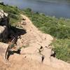 The first of a few rock stairways as you head back to Sunrise Parking lot.