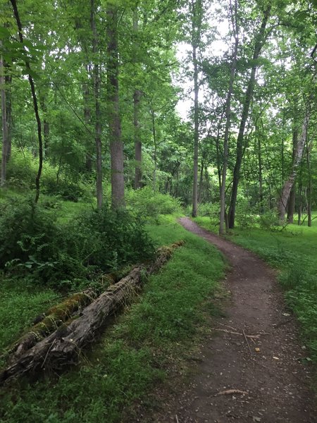 Along the Seneca Trail.