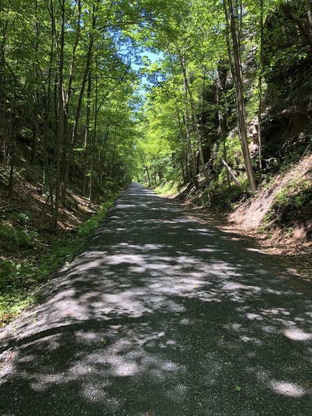 Wide Trail through one of many rock cuts.